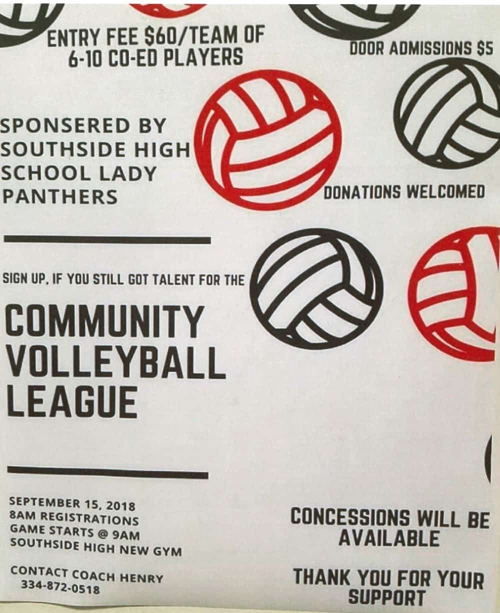 Community Volleyball League.jpg
